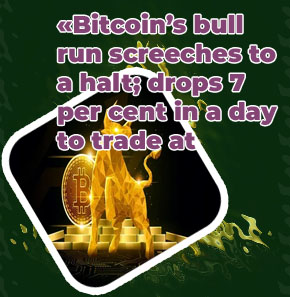 Bitcoin bull run
