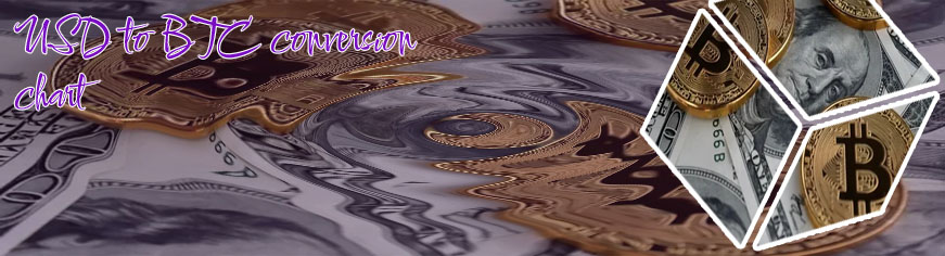 Bitcoin to dollar conversion