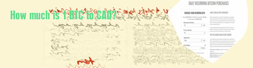 Btc price cad