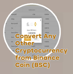 Can you convert crypto on binance