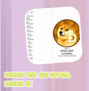 Dogecoin highest price