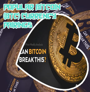 Price of bitcoins in usd