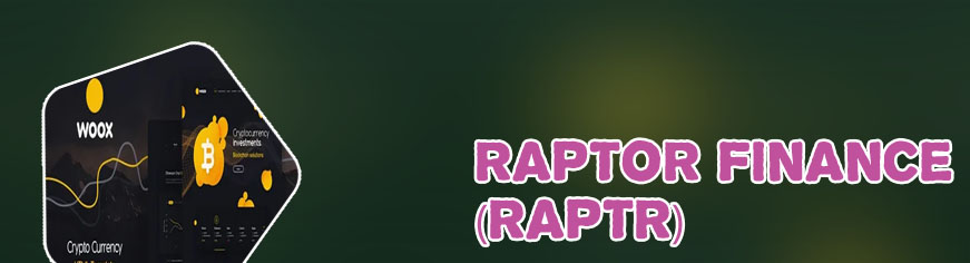 Raptr crypto price