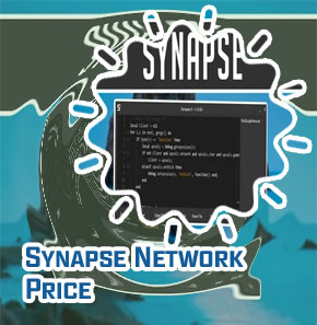 Synapse crypto