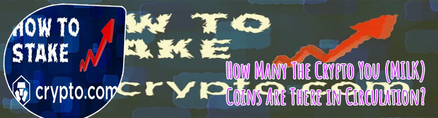 The crypto you io